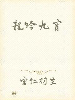 龙吟九宵