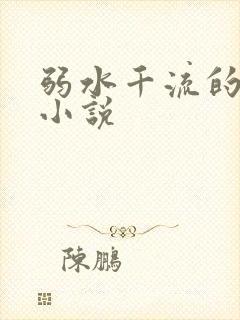 弱水千流的全部小说