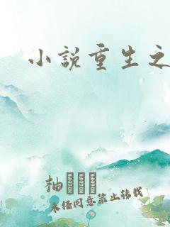 小说重生之官道