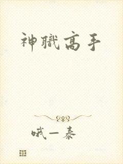 神职高手