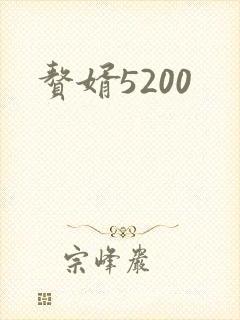 赘婿5200