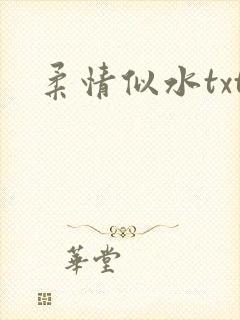 柔情似水txt