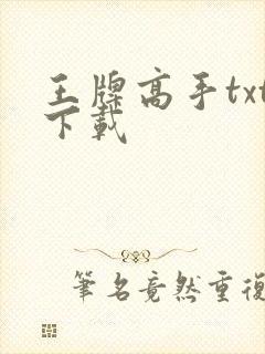 王牌高手txt下载