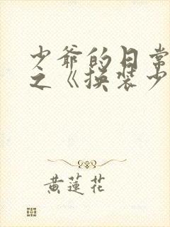 少爷的日常生活之《换装少女》