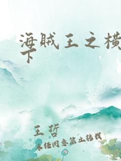 海贼王之横行天下