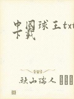 中国球王txt下载