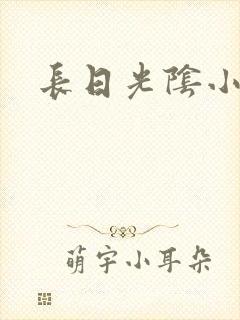 长日光阴小说