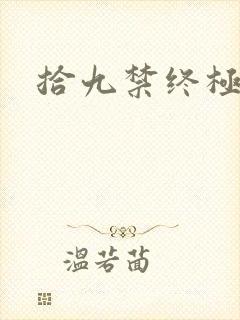 拾九禁终极直播