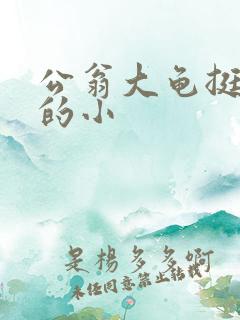公翁大龟挺进我的小