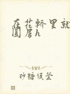 在花轿里就开始圆房h