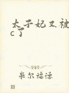 太子妃又被皇帝c了