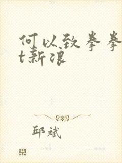 何以致拳拳txt新浪