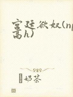 宫廷欲奴(np高h)