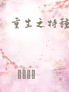 重生之特种军嫂