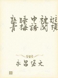 熟睡中被进了H青梅诱哄视频