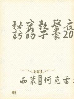 秘密教学夜晚到访的子豪20话
