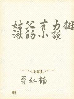 姑父有力挺送徐湫的小说