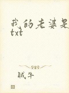 我的老婆是上司txt