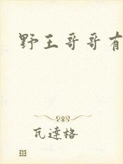 野王哥哥有点甜