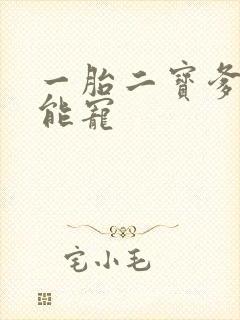 一胎二宝爹地超能宠