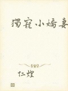 独宠小娇妻