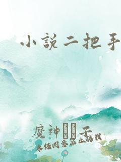 小说二把手
