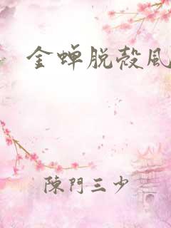 金蝉脱壳风弄