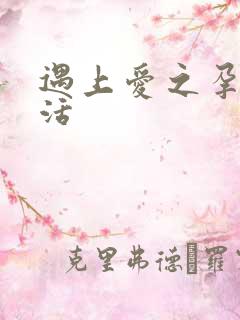 遇上爱之孕夫生活