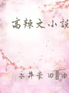 高辣文小说
