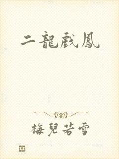 二龙戏凤