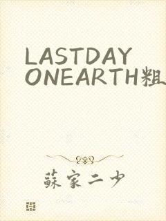 LASTDAYONEARTH粗暴