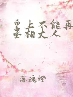 皇上不能再进了丞相大人