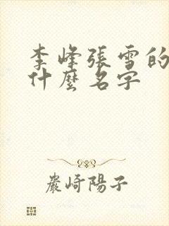 李峰张雪的书叫什么名字