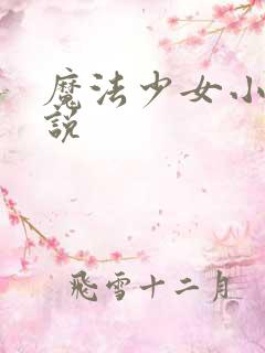 魔法少女小圆小说