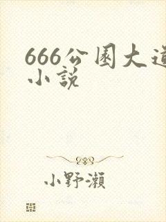 666公园大道小说