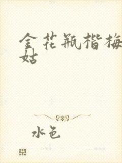 金花瓶楷梅花尼姑