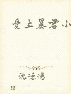 爱上暴君小甜心