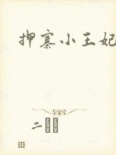 押寨小王妃