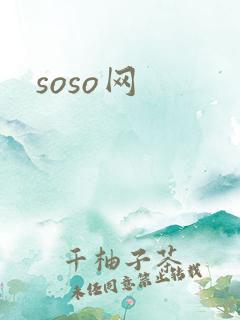 soso网