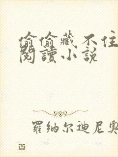 偷偷藏不住免费阅读小说