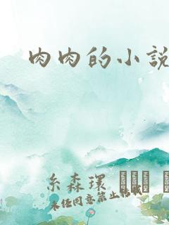 肉肉的小说