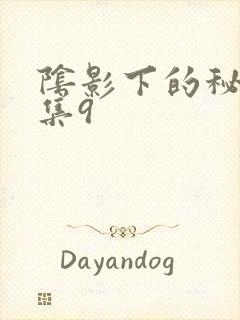 阴影下的秘密全集9