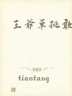 王爷单挑敢不敢