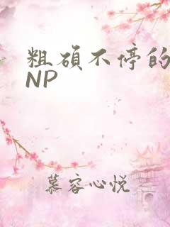 粗硕不停的进出NP