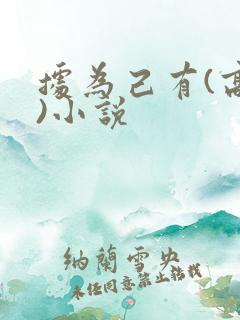 据为己有(高干)小说