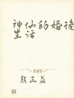 神仙的婚后都市生活