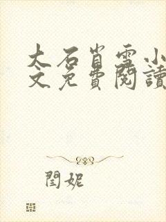 大石肖雪小说全文免费阅读