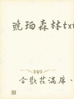 琥珀森林txt
