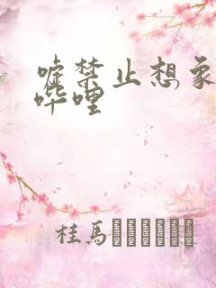 嘘禁止想象哔哩哔哩