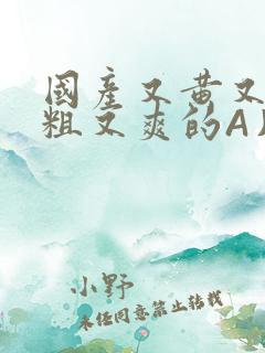 国产又黄又猛又粗又爽的A片小说